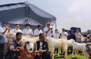 Ketua DPRD Rudy Susmanto Beri Dukungan Festival Ternak Domba Kambing dan Seni Ketangkasan Domba Garut 2023 Festival ternak