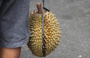 Segudang Manfaat Makan Durian Bagi Kesehatan Tubuh Kita, Yuk Simak Apa Saja? Mufid Majnun / Unsplash
