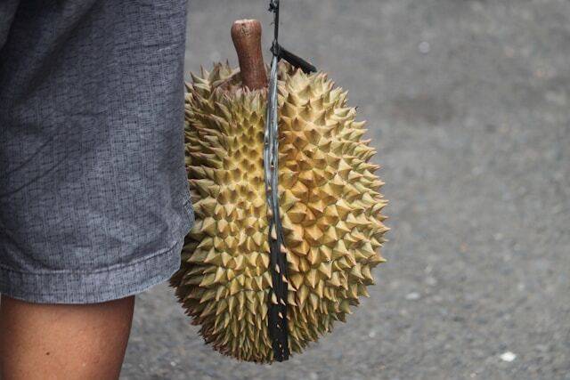 Segudang Manfaat Makan Durian Bagi Kesehatan Tubuh Kita, Yuk Simak Apa Saja? Mufid Majnun / Unsplash