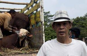 Calon Bupati Bogor Jaro Ade Bagikan Sapi Qurban, Jelang Perayaan Idul Adha 1445 H Jaro Ade membagikan hewan qurban sebanyak 18 ekor sapi untuk dibagikan ke sejumlah pondok pesantrean di perayaan Idul Adha 1445 H - 2024 M. (dokumentasi istimewa)