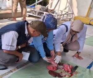 Dinas Perikanan dan Peternakan Kabupaten Bogor Melakukan Pengawasan Hewan dan Daging Qurban Sebelum dan Sesudah Idul Adha 1445 H 2024. (dokumen istimewa)