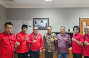 Jaro Ade Bertemu Hasto Krisyanto, Galang Koalisi Golkar-PDIP di Pilkada Kabupaten Bogor (Instagram @adian_napitupulu)