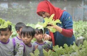 Edufarm Malakasari: Transformasi Lahan Kota Menjadi Oase Pendidikan Edufarm Malakasari yang dikelola oleh Kelompok Tani Wanita (KWT) D'Shafa merupakan salah satu mitra binaan PLN Unit Induk Distribusi (UID) Jakarta Raya melalui program PLN Peduli. (PLN)