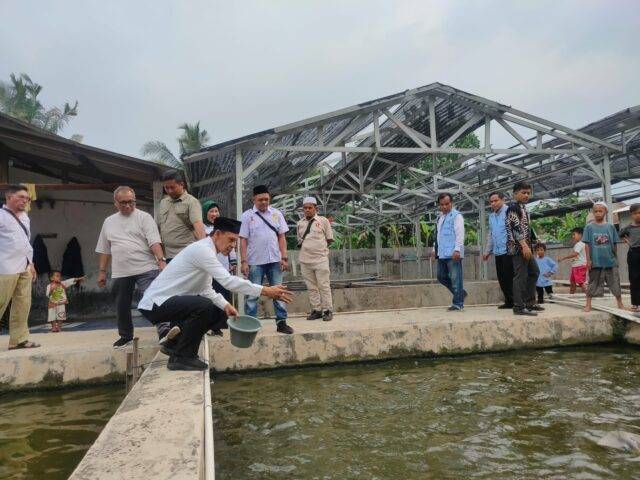 WhatsApp Image 2024-10-04 at 16.46.31