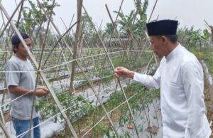 Petani Ngeluh Kesulitan Pupuk Subsidi, Calon Wakil Bupati Bogor Jaro Ade Akan Tingkatkan Kuotanya