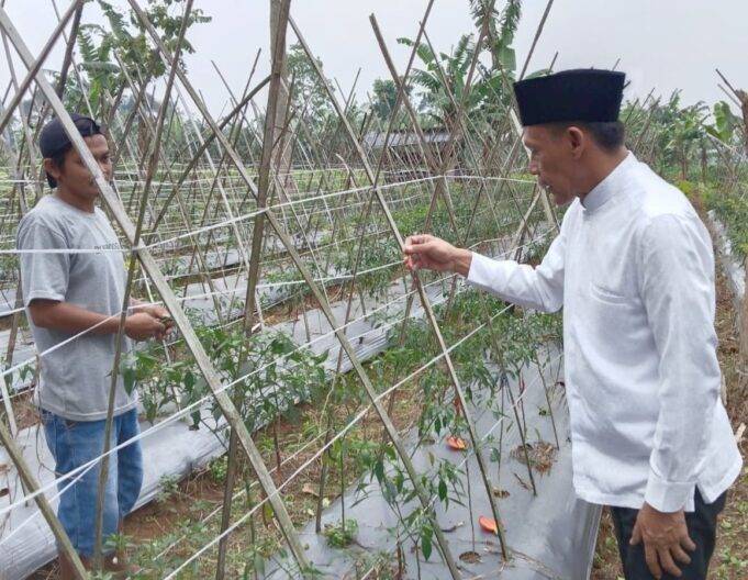 Petani Ngeluh Kesulitan Pupuk Subsidi, Calon Wakil Bupati Bogor Jaro Ade Akan Tingkatkan Kuotanya
