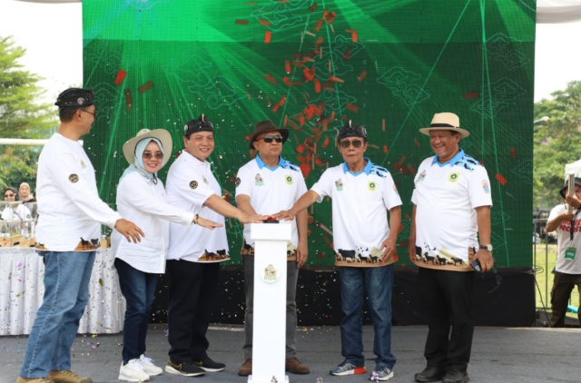 festival domba