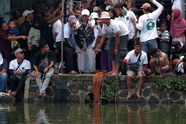 WhatsApp Image 2024-11-23 at 22.49.58