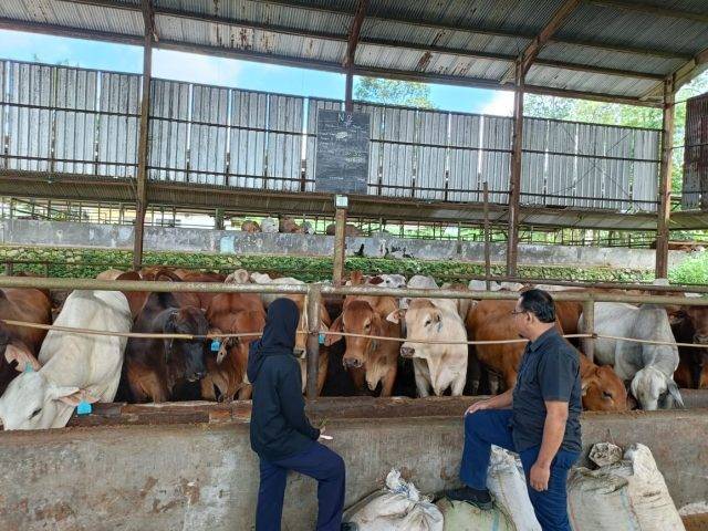 WhatsApp Image 2025-03-27 at 15.34.54
