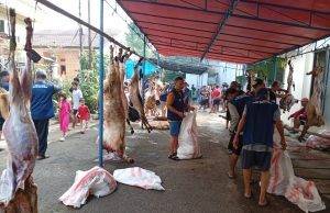 Panitia Idul Adha Masjid Ataqwa Pakujaya Permai Sembelih 8 Ekor Sapi dan 22 Ekor Kambing