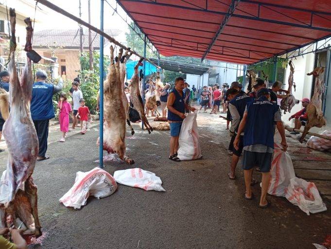 Panitia Idul Adha Masjid Ataqwa Pakujaya Permai Sembelih 8 Ekor Sapi dan 22 Ekor Kambing