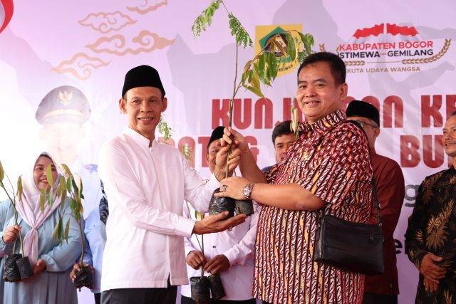 Tanam pohon