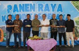 Koloborasi YBM BRILian Bersama IPB Unieversity Menghadirkan Model Pemberdayaan Ekonomi Desa Berbasis Pertanian Modern: Gelar Panen Raya Pepaya California