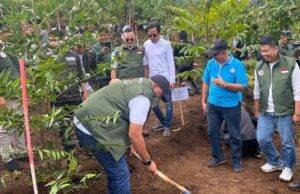 Hulu Ciliwung Ditanami, Bupati Bogor Rudy Susmanto Pasang Target Besar 220 Hektare Ruang Hijau
