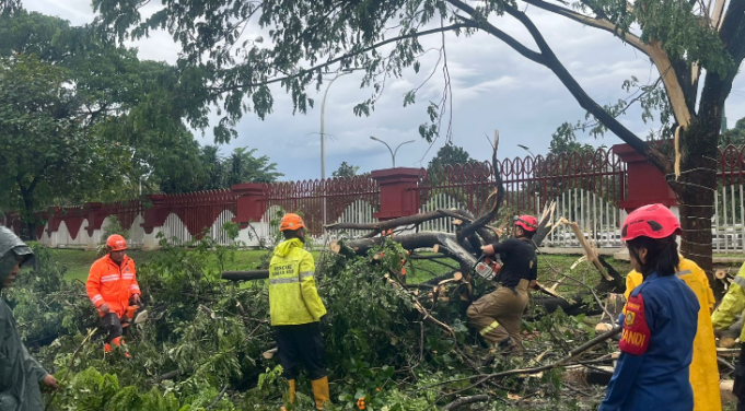 Angin Puting Beliung Sapu Kawasan Stadion Pakansari, Puluhan Pohon dan Bangunan Porak-poranda