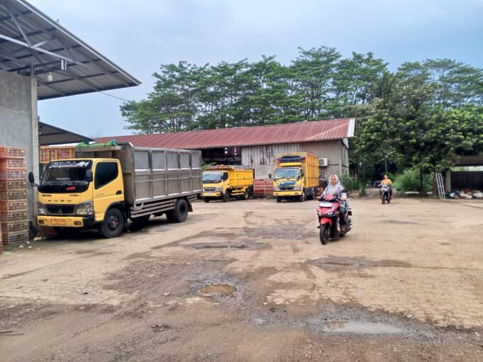 Dikeluhkan Warga Karena Timbulkan Bau, Camat Gunung Sindur Minta RPH di Desa Pabuaran Segera Urus Izinnya ke DLH Kabupaten Bogor