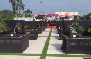 Hari Jadi Kabupaten Sukabumi Ke-156 Tahun, Semakin Meriah Dengan digelarnya Festival dan Pameran Bonsai Nasional di Alun Alun Bojonglopang Jampang Tengah