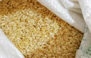 Beras Bansos di Babakan Madang Bau Apek, Warga Minta Bulog Berikan Klarifikasi